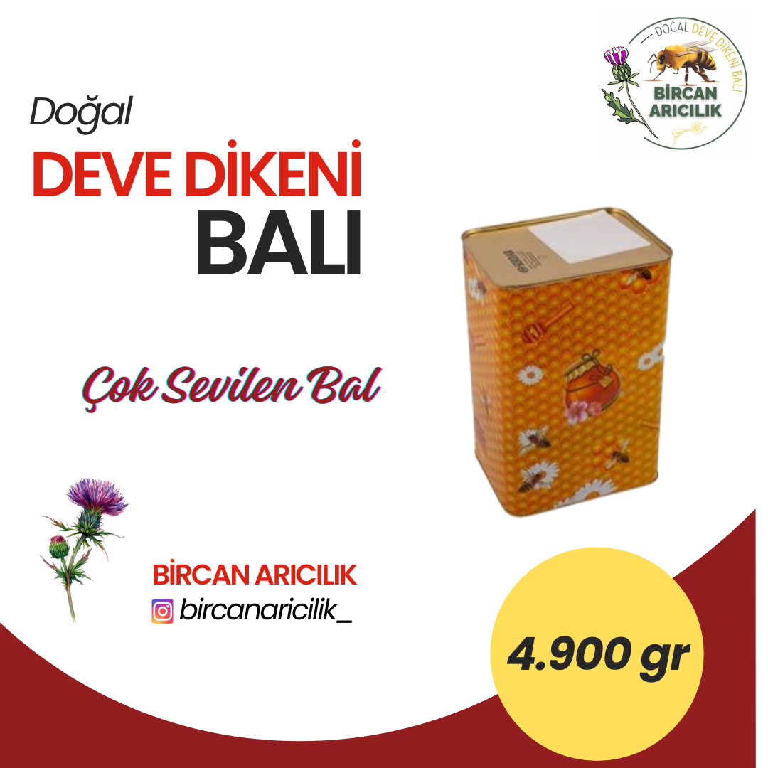 4.900 gr Deve Dikeni Balı