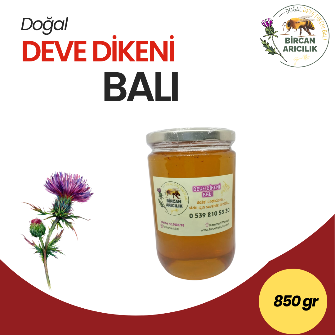 850 gr Deve Dikeni Balı